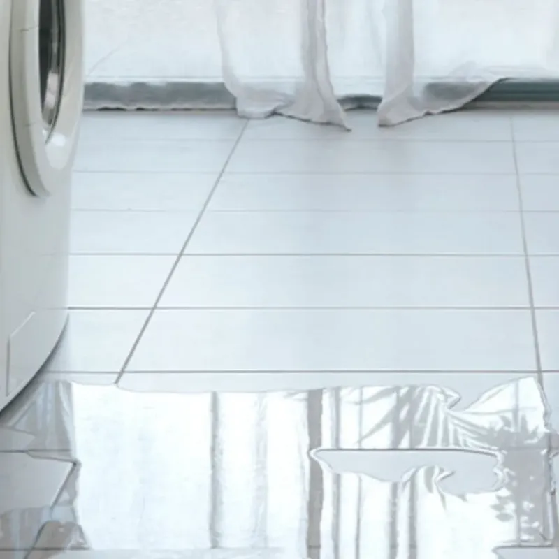 Appliance Leak Cleanup in Saint Clair County, MO