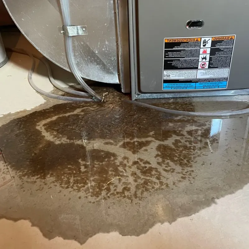 Pipe Burst and Leak Restoration in Saint Clair County, MO