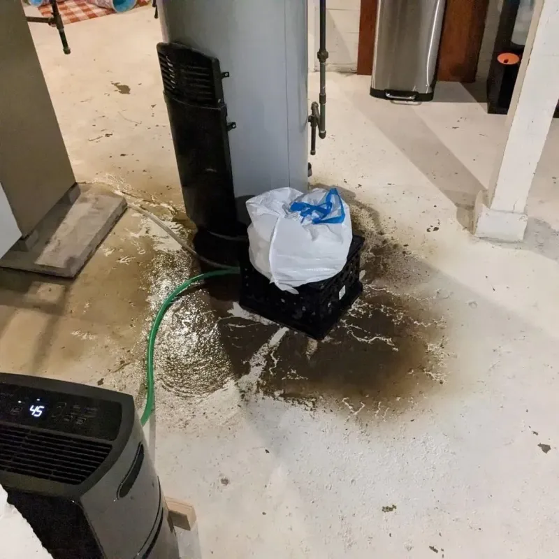 Sewage Backup Cleanup Service in Saint Clair County, MO